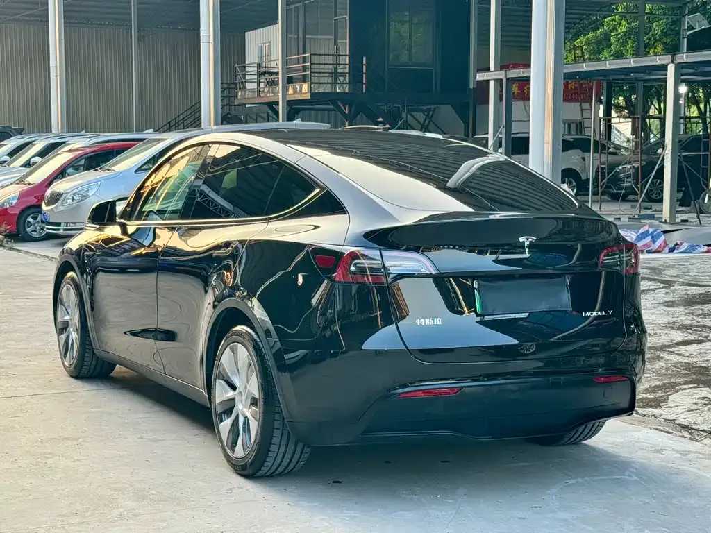 Tesla Model Y — фото 10