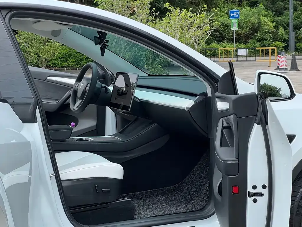 Tesla Model Y — фото 9