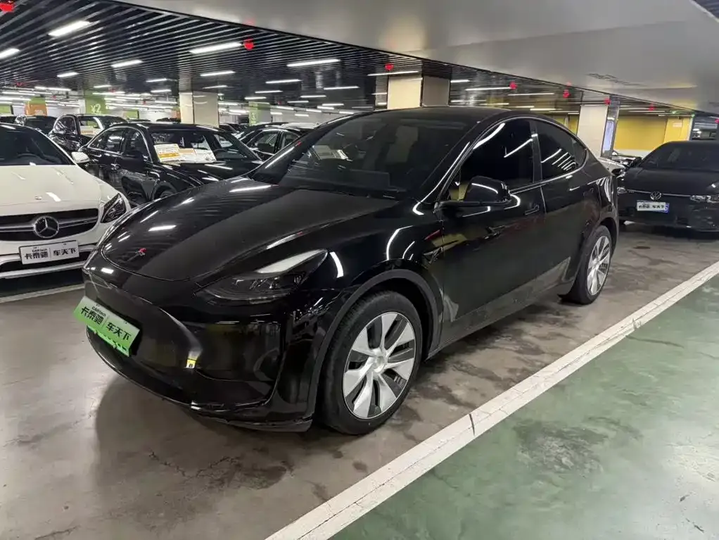 Tesla Model Y — фото 1