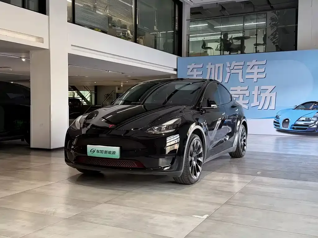Tesla Model Y — фото 1