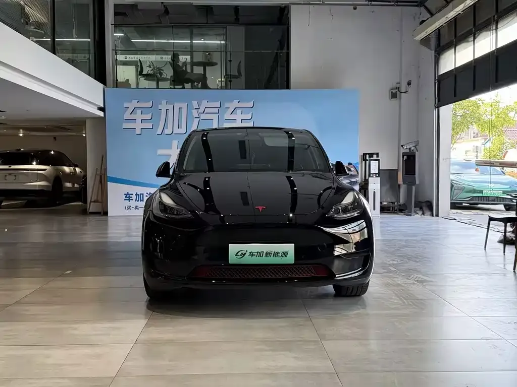 Tesla Model Y — фото 6