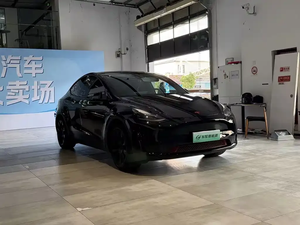 Tesla Model Y — фото 4
