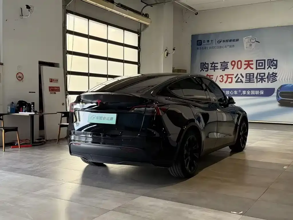 Tesla Model Y — фото 3