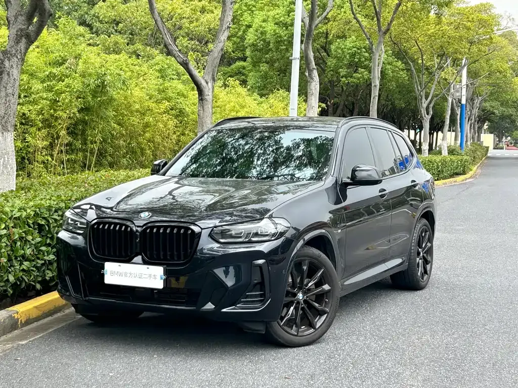 BMW X3 — фото 1