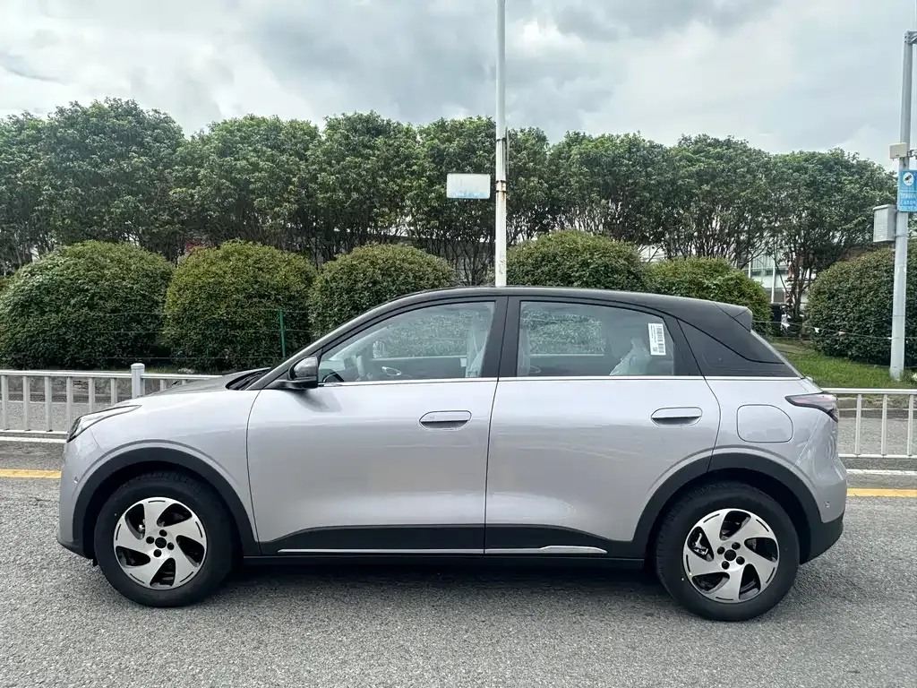 Geely Starburst — фото 10