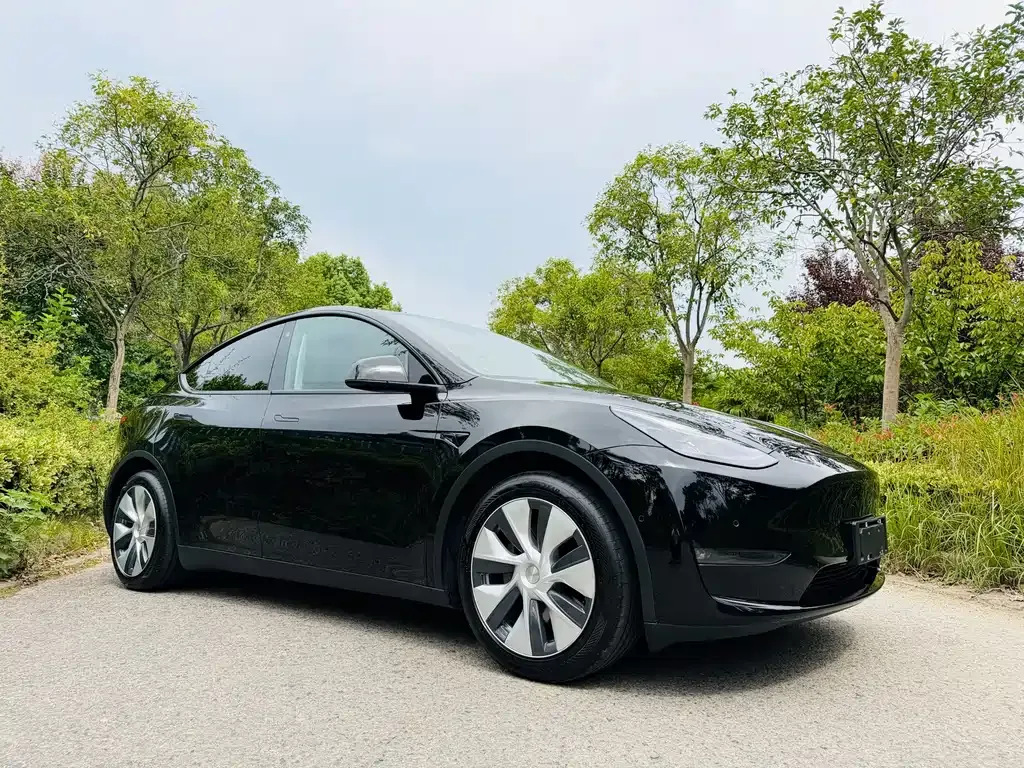 Tesla Model Y — фото 10