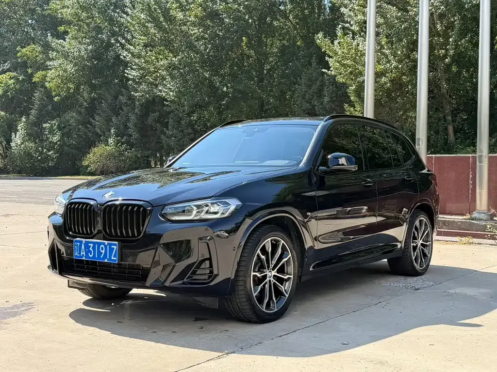 BMW X3 — фото 1