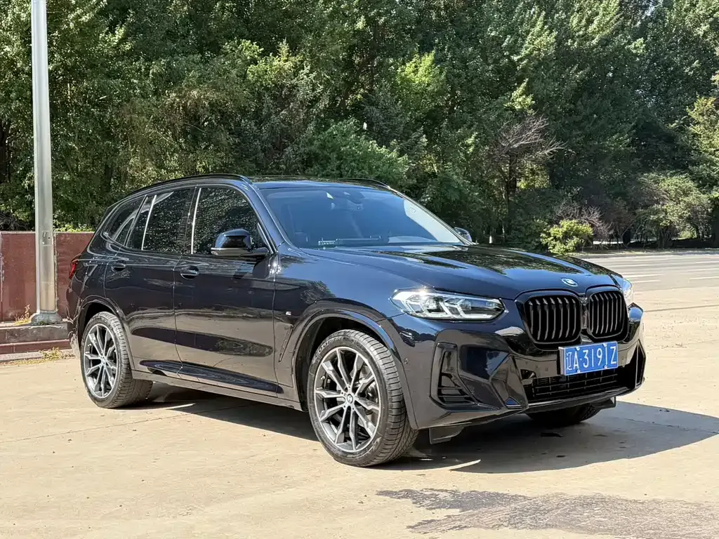 BMW X3 — фото 6