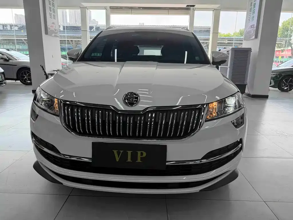 Skoda Karoq — фото 3