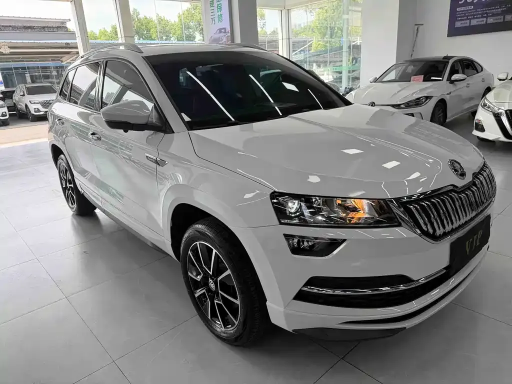 Skoda Karoq — фото 4