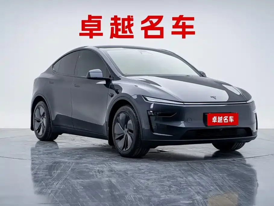 Tesla Model Y — фото 10