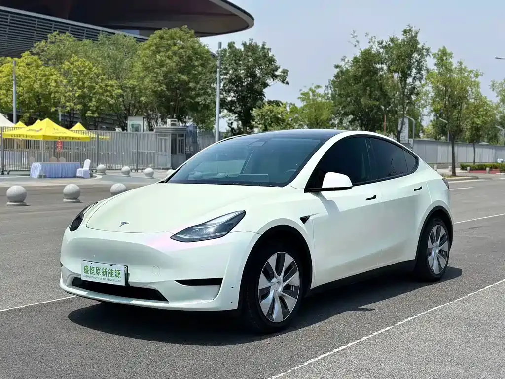 Tesla Model Y — фото 1