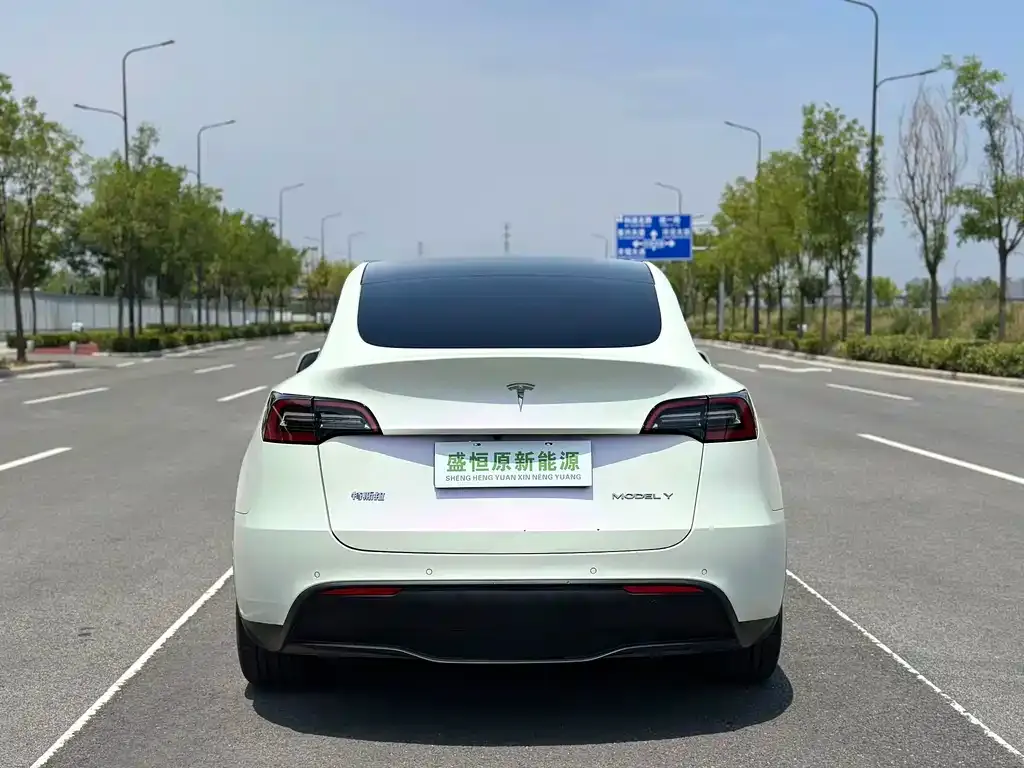Tesla Model Y — фото 10