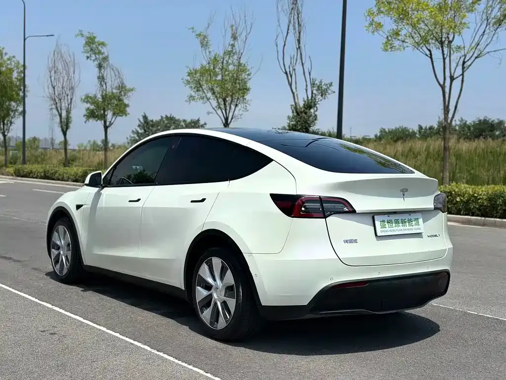 Tesla Model Y — фото 9