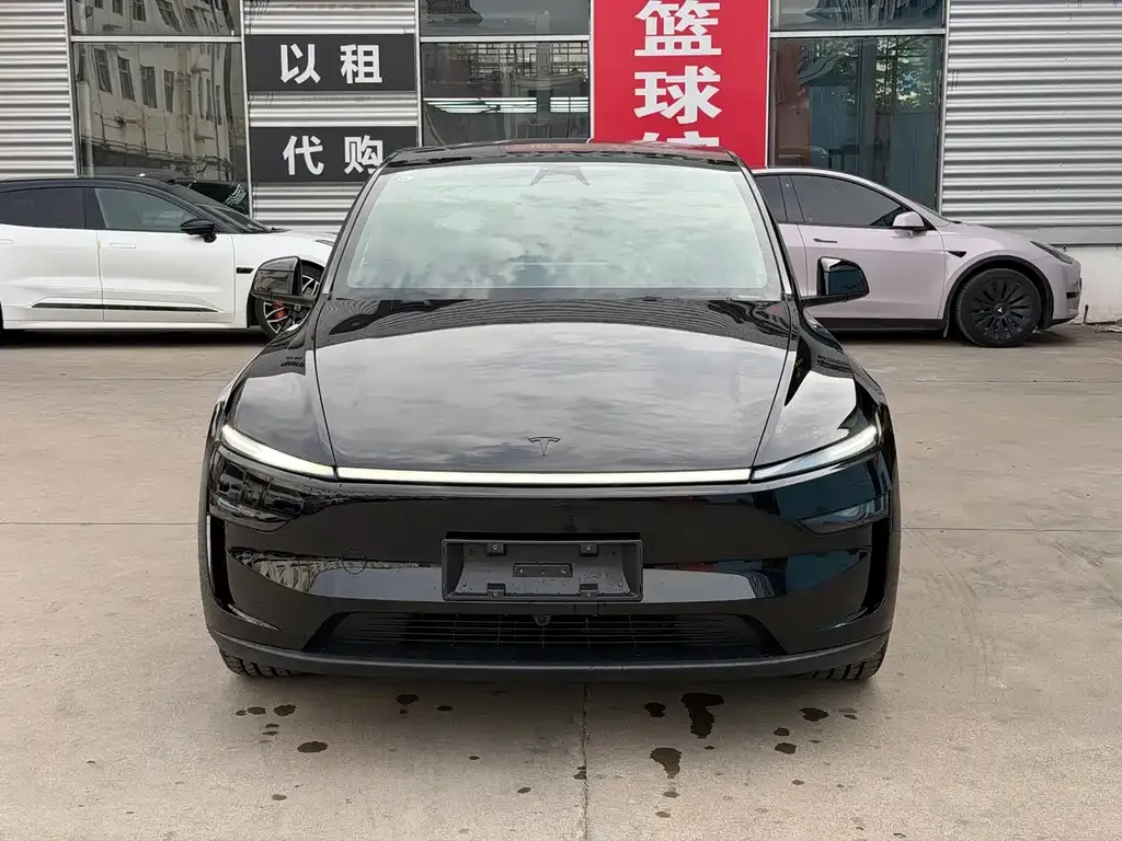 Tesla Model Y — фото 6