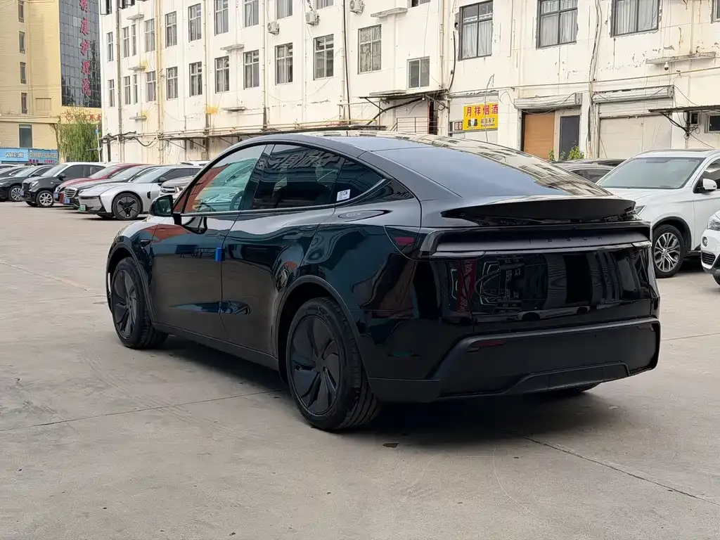 Tesla Model Y — фото 2