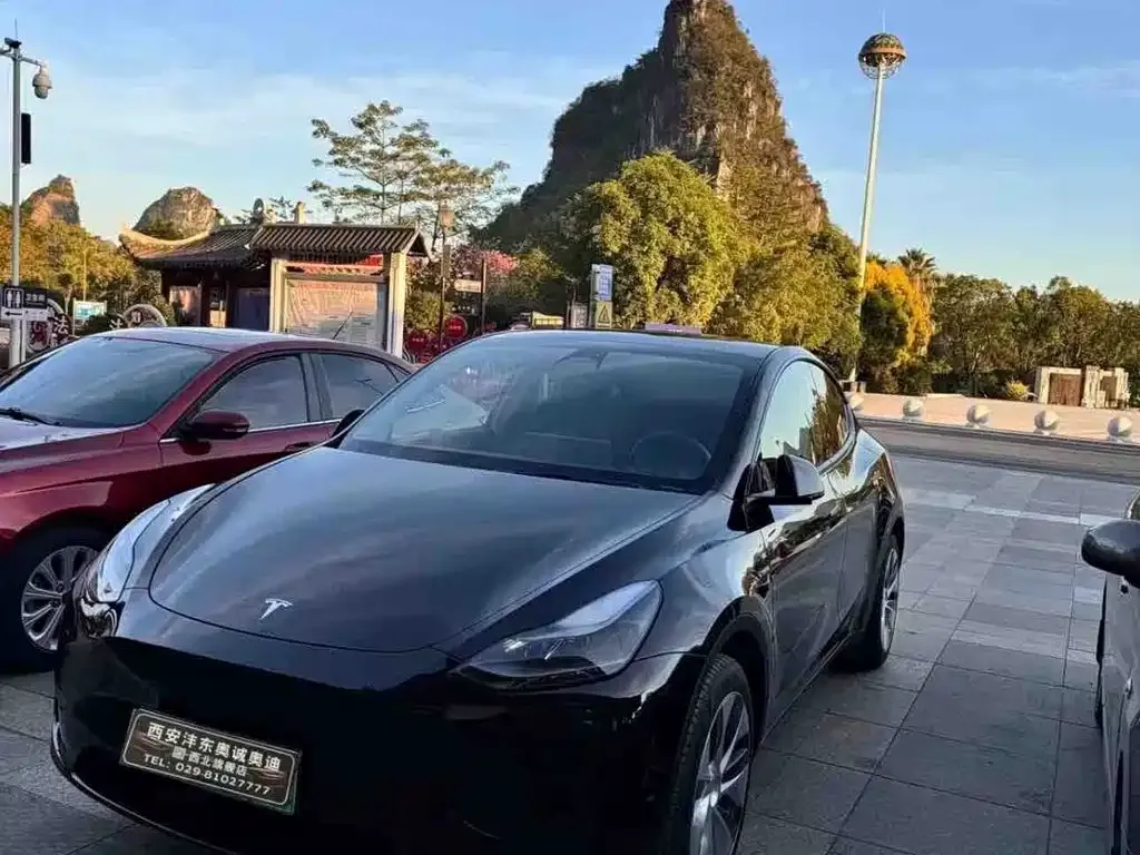 Tesla Model Y — фото 1