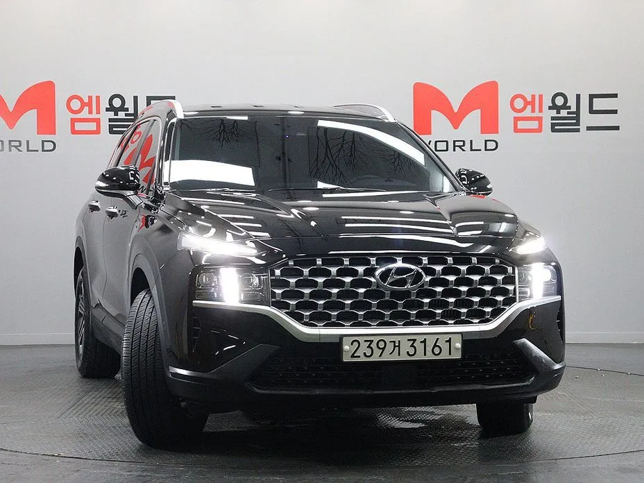Hyundai Santafe — фото 7