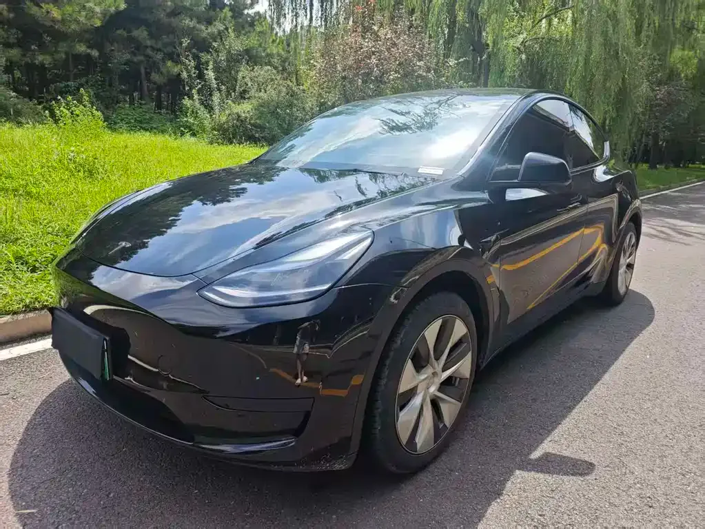 Tesla Model Y — фото 1