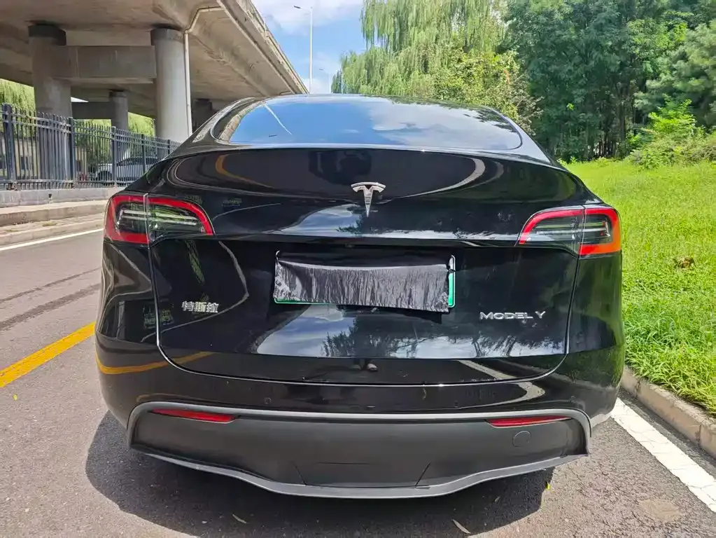 Tesla Model Y — фото 3