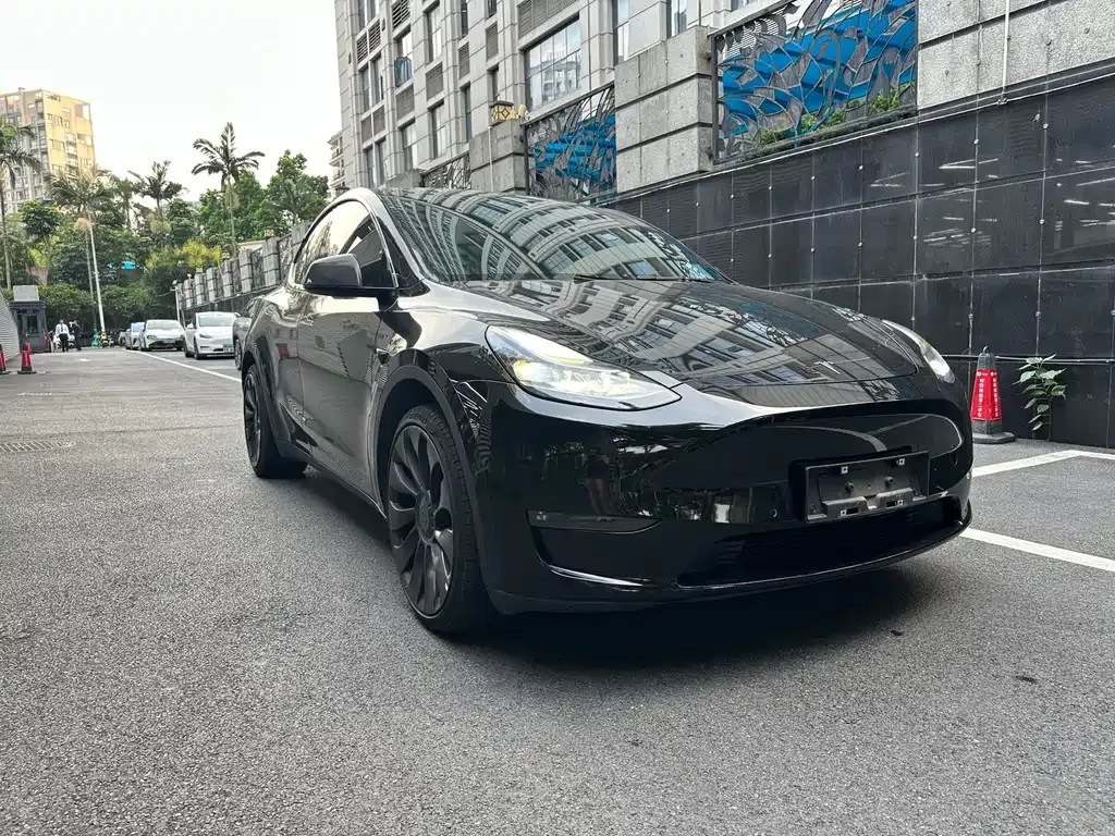 Tesla Model Y — фото 10