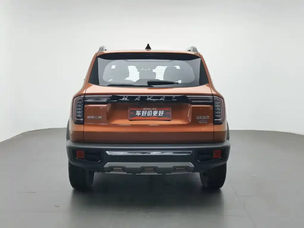 Haval Big Dog — фото 10