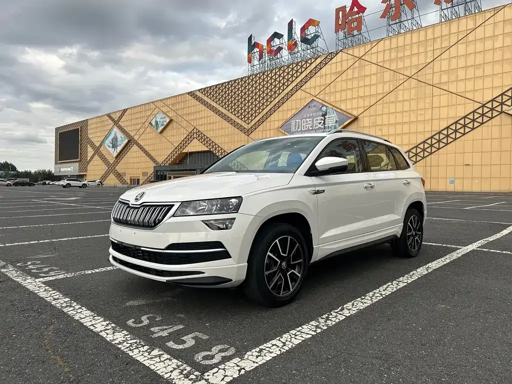 Skoda Karoq — фото 1