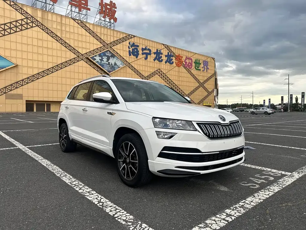 Skoda Karoq — фото 8