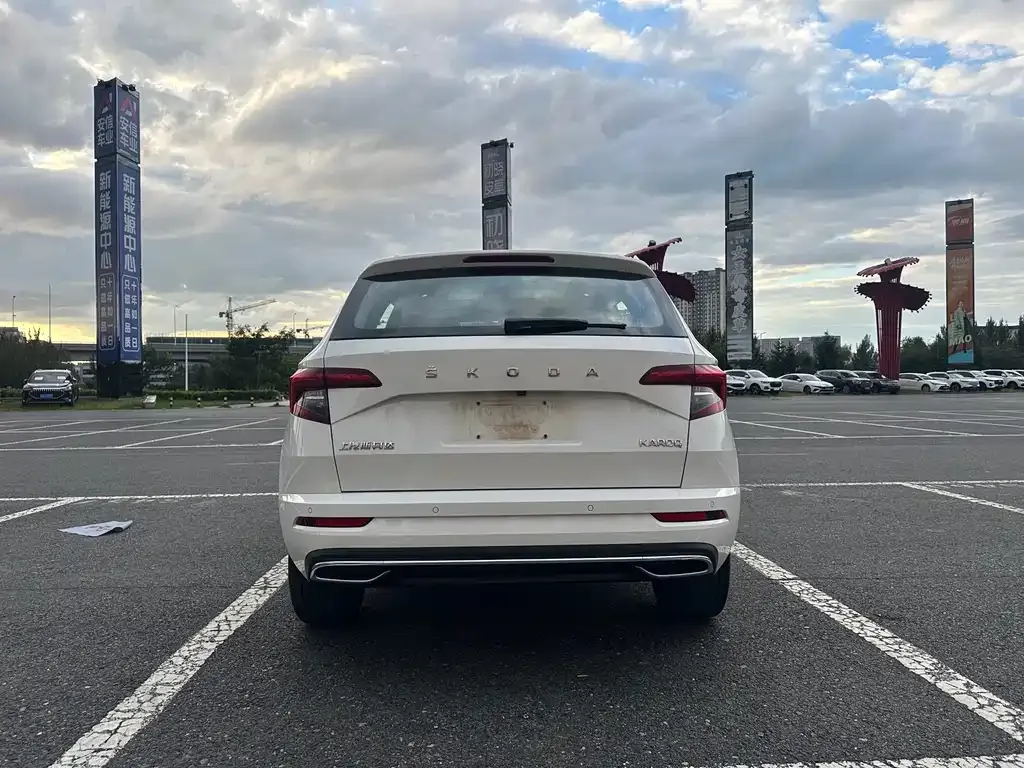 Skoda Karoq — фото 7