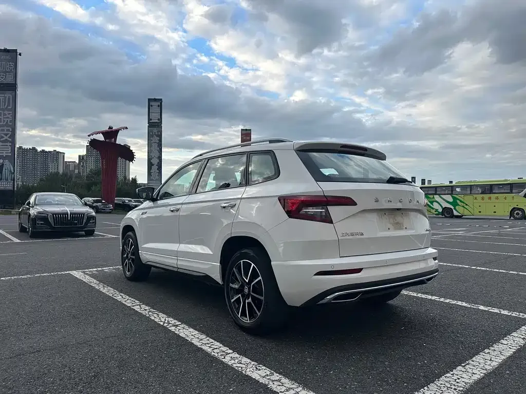 Skoda Karoq — фото 6