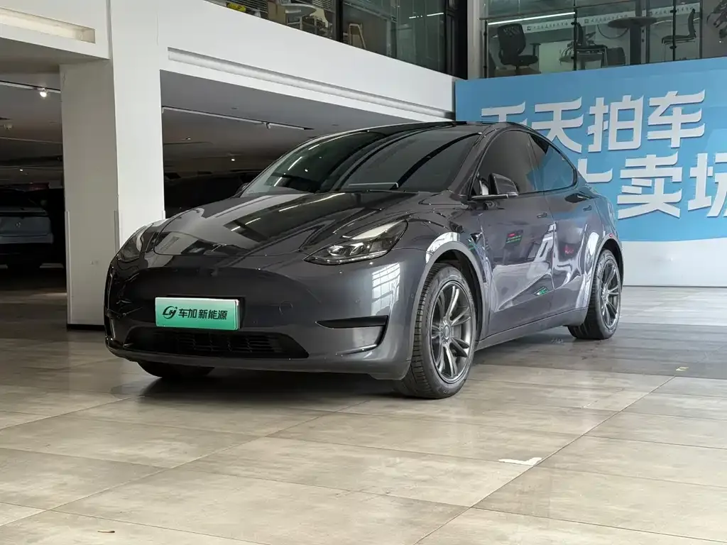 Tesla Model Y — фото 1