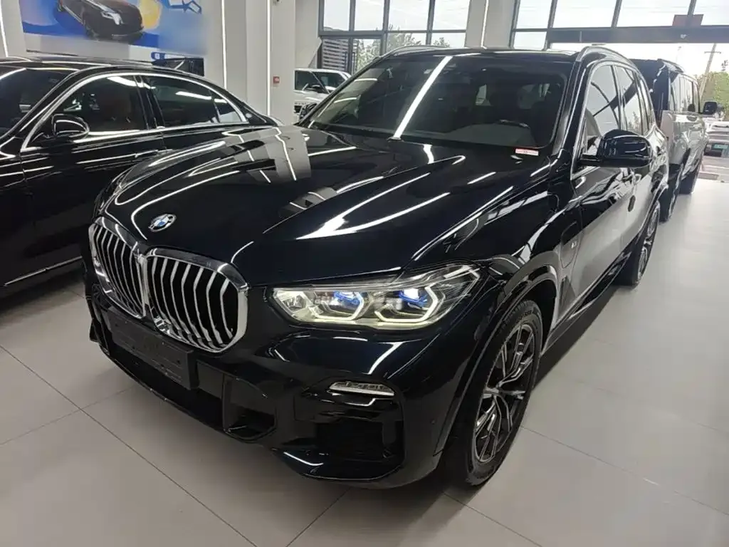 BMW X5 New Energy (Import) — фото 10