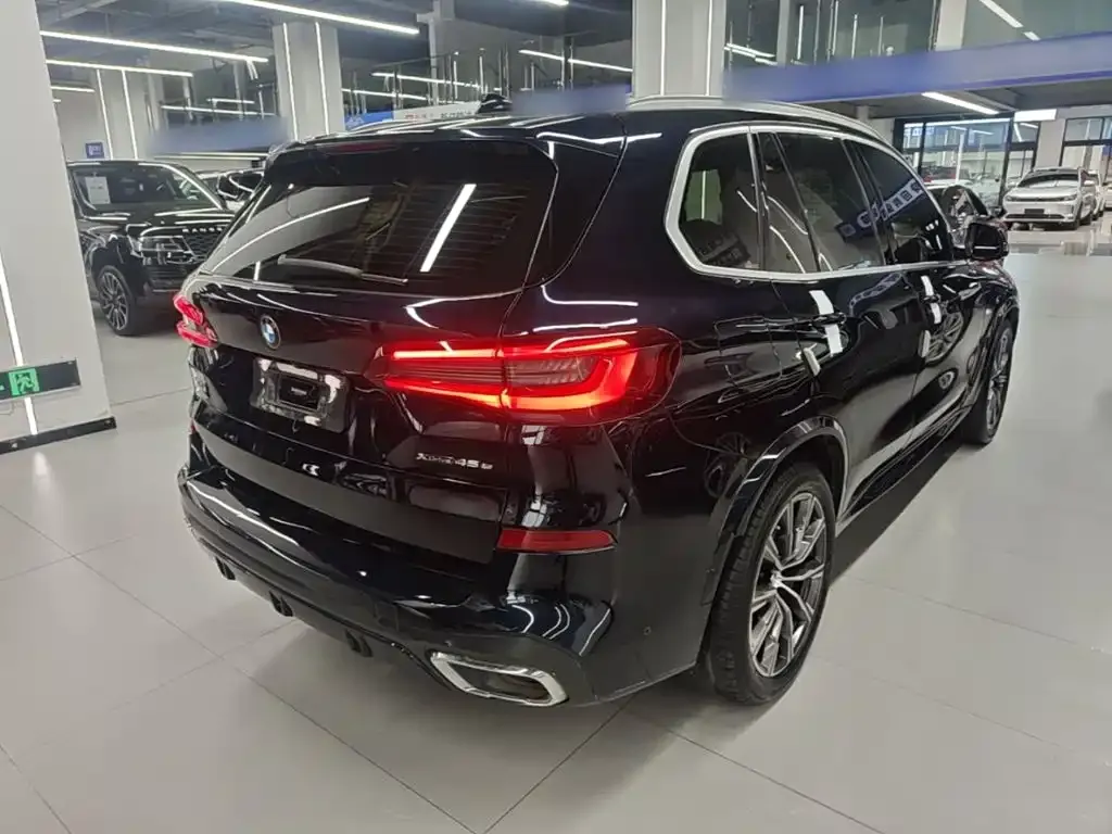 BMW X5 New Energy (Import) — фото 7