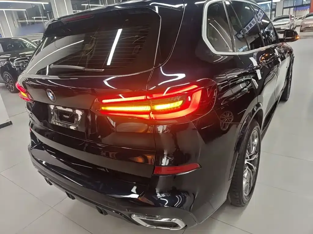 BMW X5 New Energy (Import) — фото 8