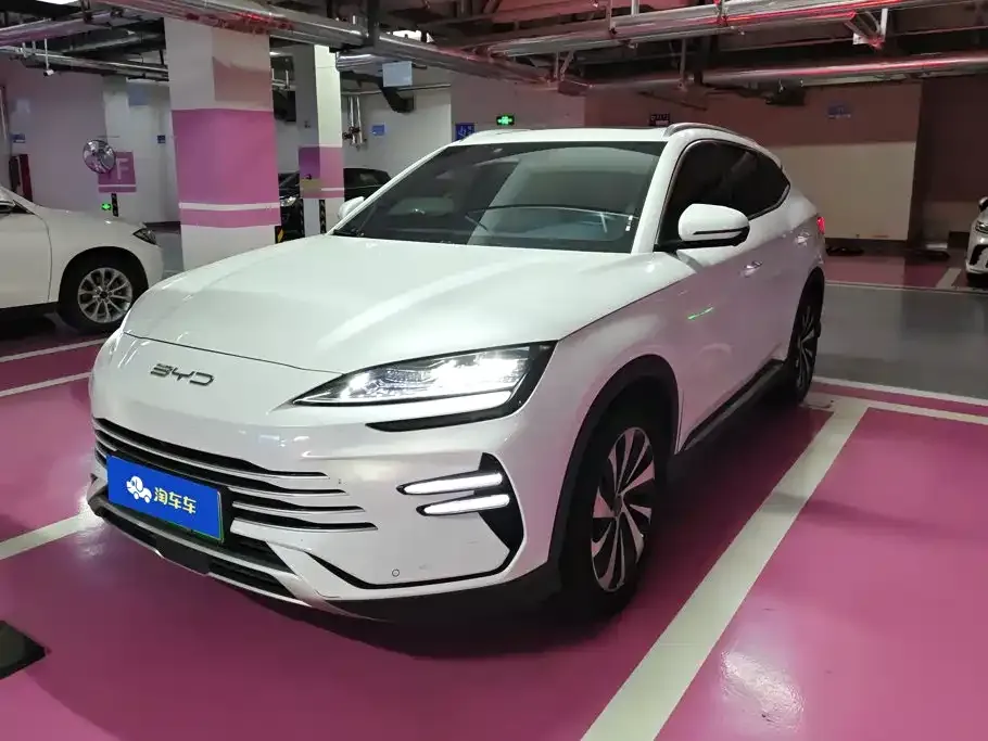 BYD PLUS New Energy — фото 1