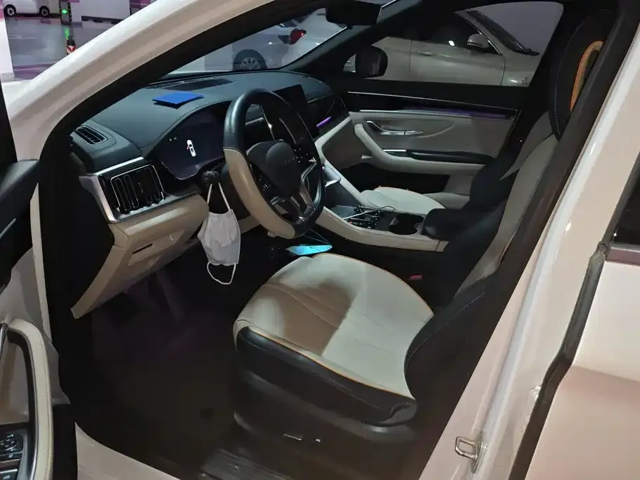 BYD PLUS New Energy — фото 4