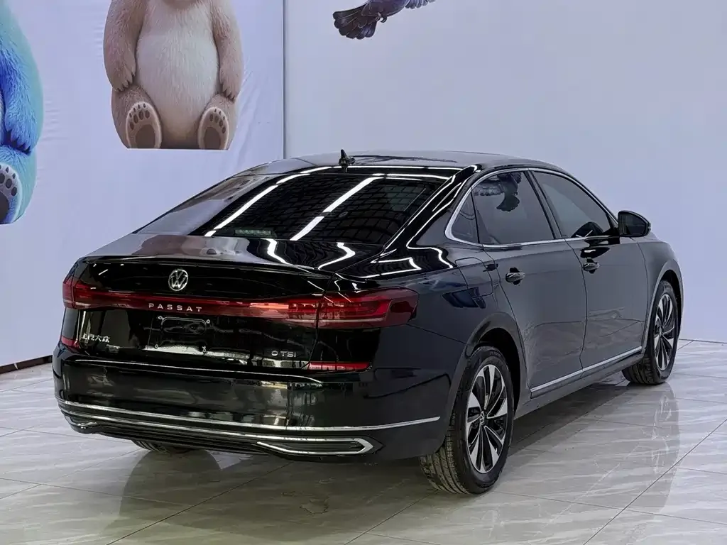 Volkswagen Passat — фото 8
