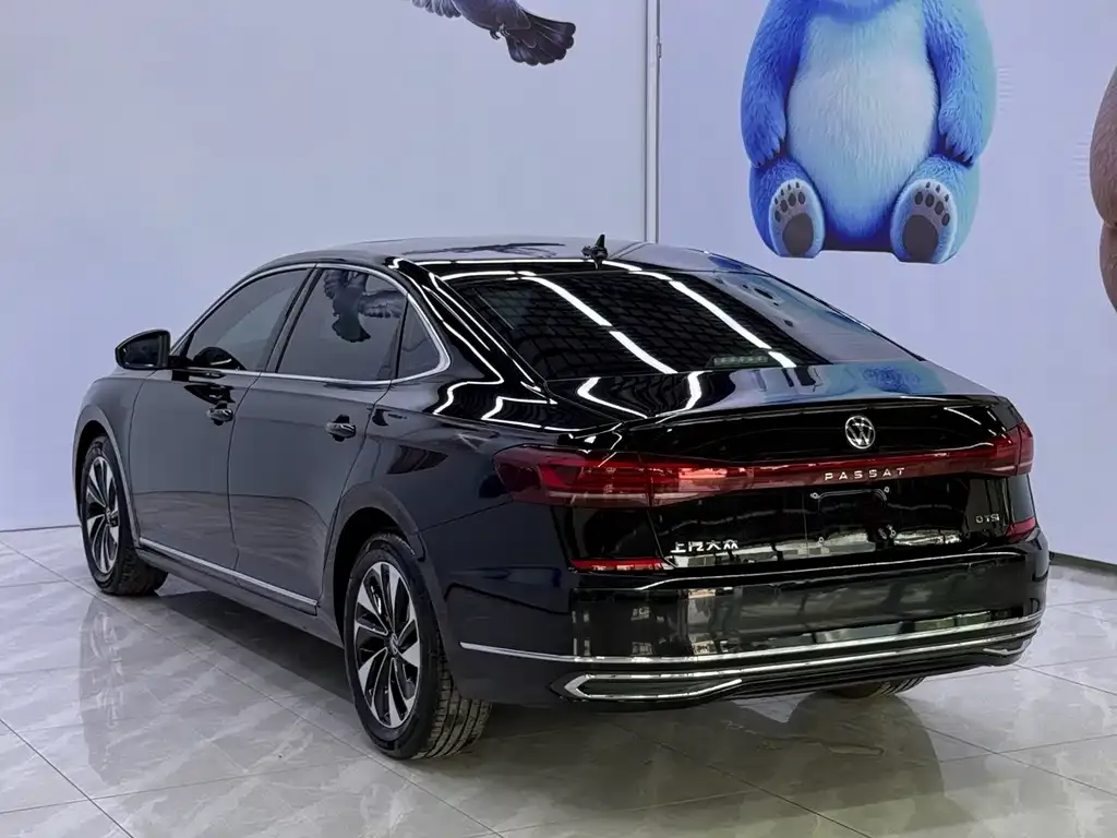 Volkswagen Passat — фото 9
