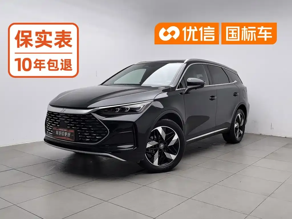BYD Tang New Energy — фото 1