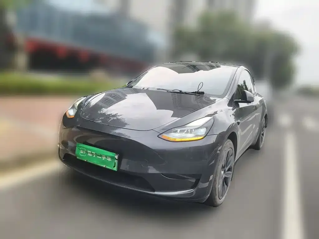 Tesla Model Y — фото 1