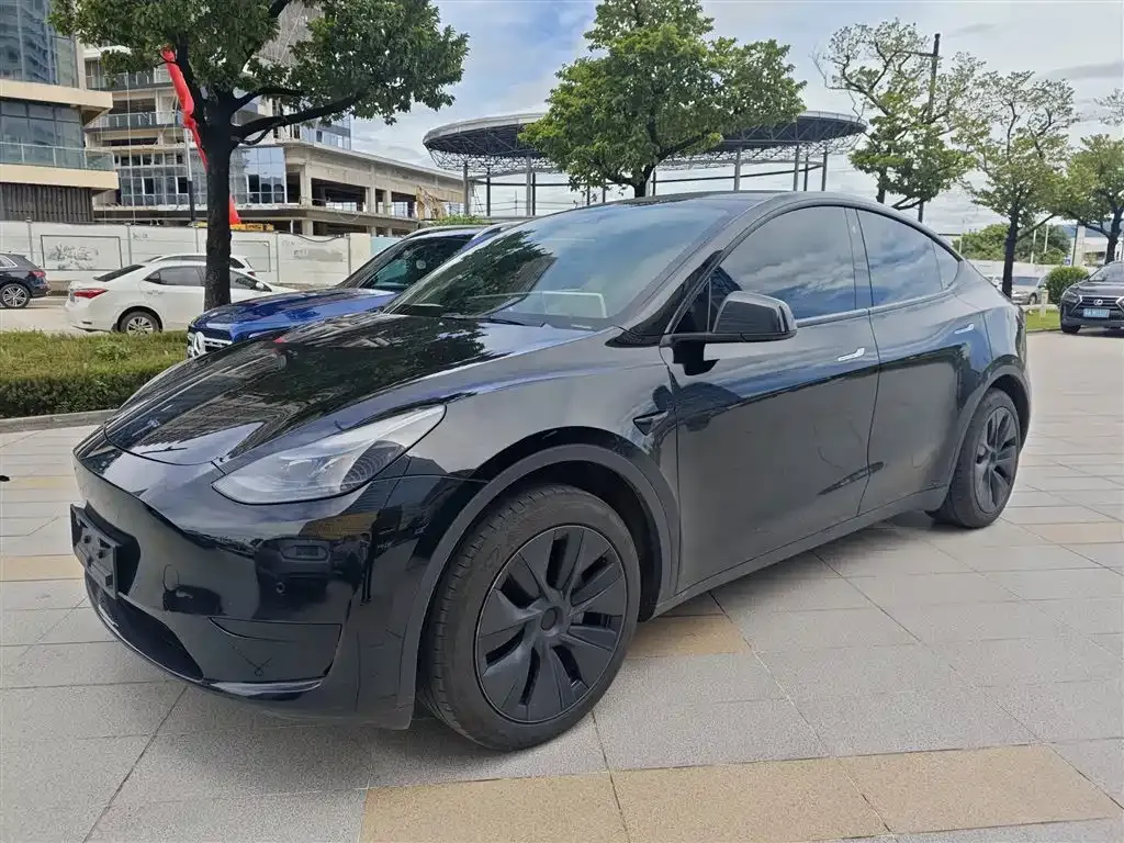 Tesla Model Y — фото 1