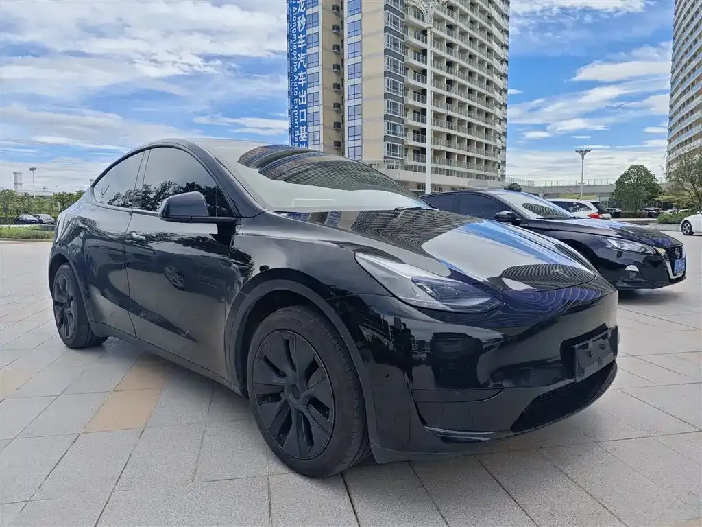Tesla Model Y — фото 5
