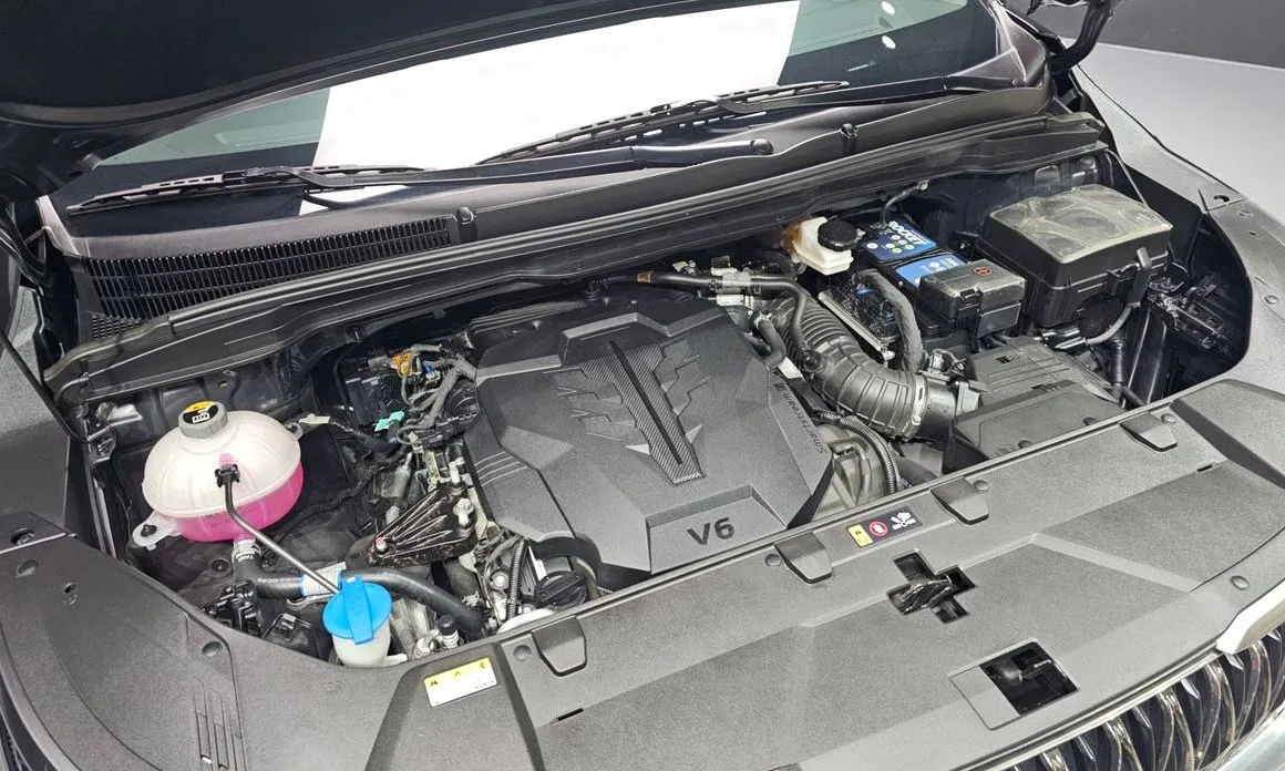 Kia Carnival — фото 10