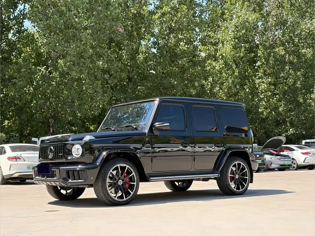 Mercedes-Benz G-Class — фото 10