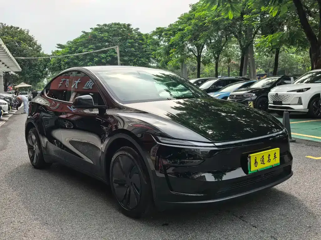 Tesla Model Y — фото 10