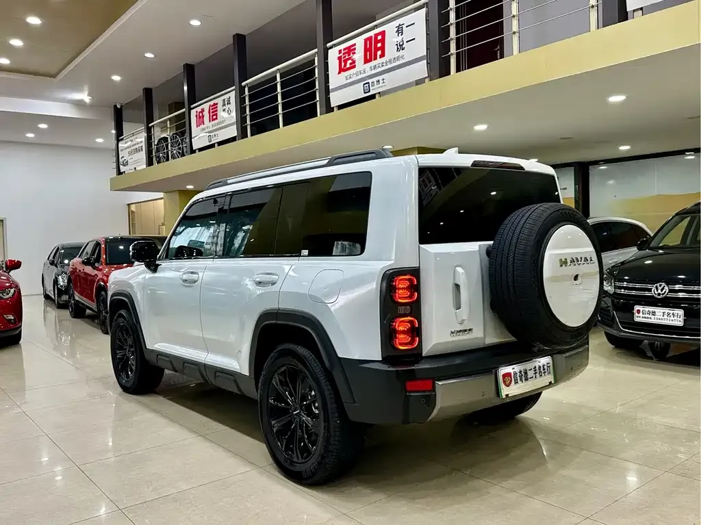 Haval Menglong New Energy — фото 10