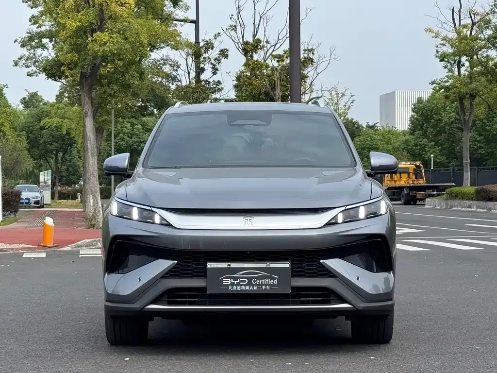 BYD Pro New Energy — фото 6