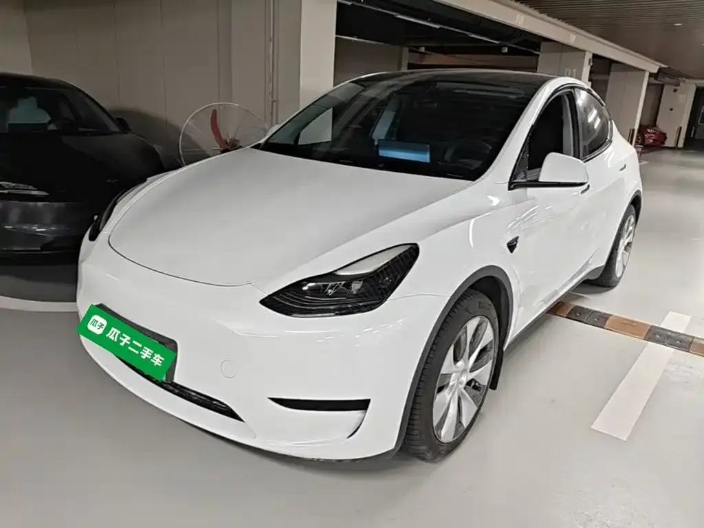 Tesla Model Y — фото 10