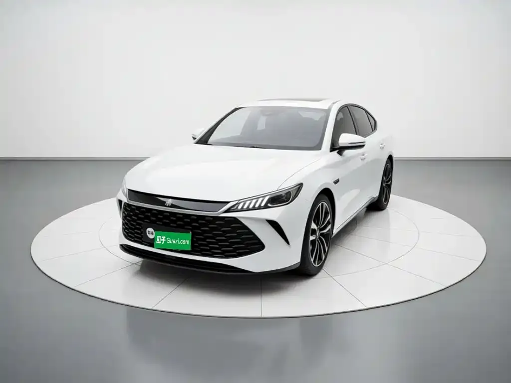 BYD Qin PLUS — фото 1