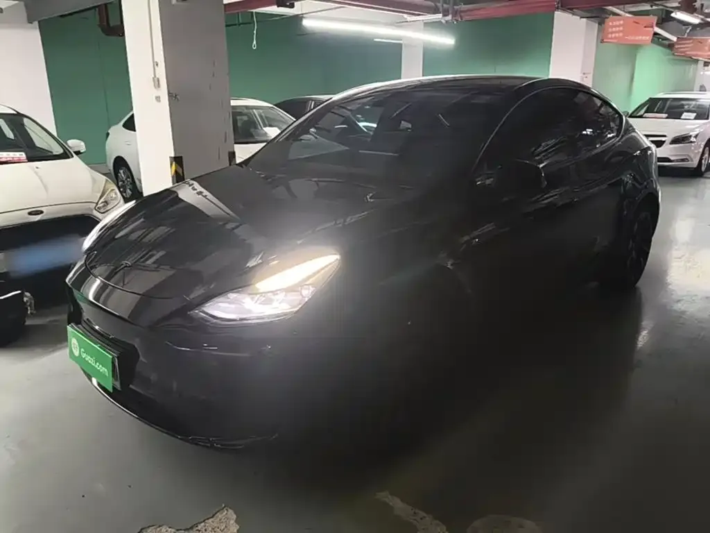Tesla Model Y — фото 1